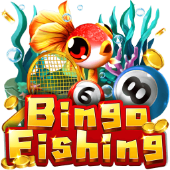 Bingo Fishing okay bet